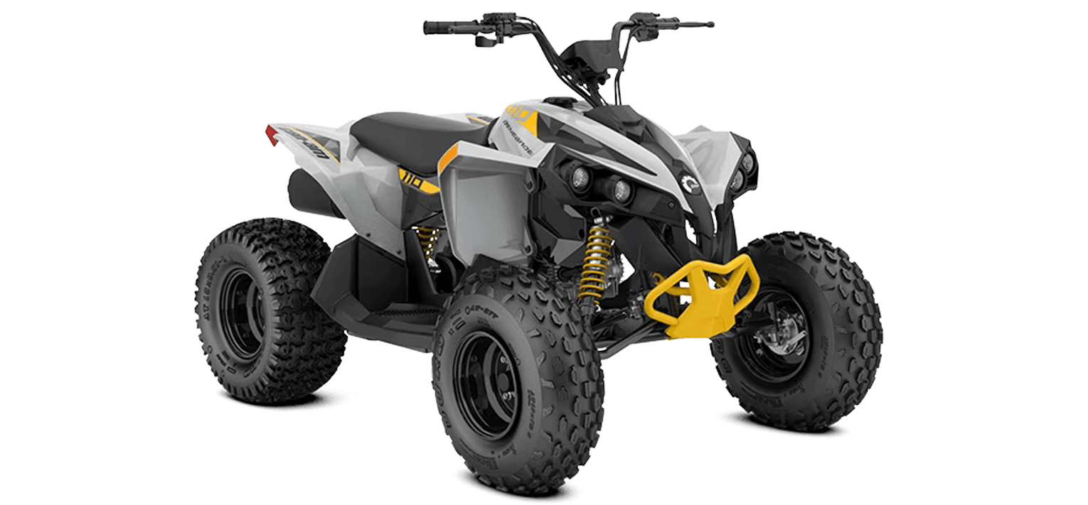 Can Am Renegade EFI MY25