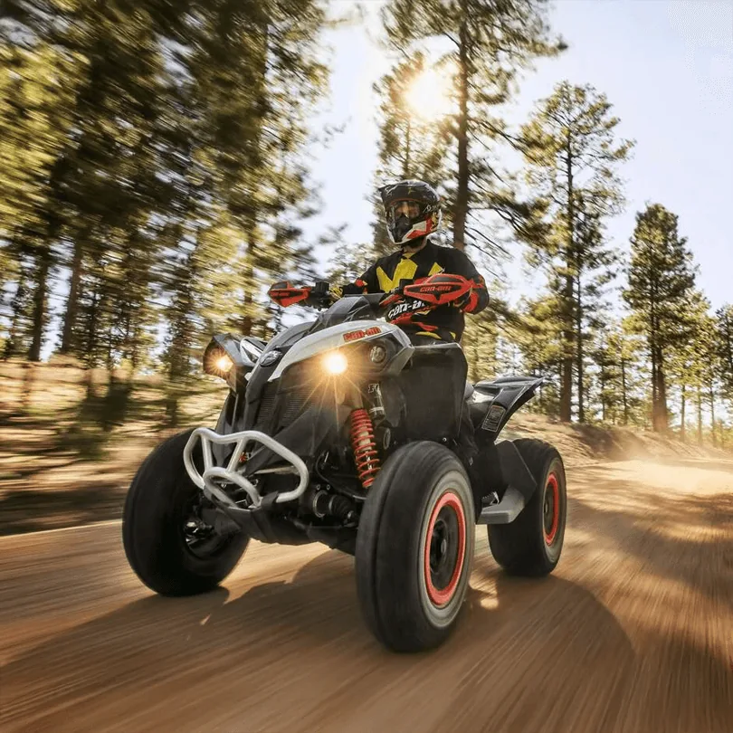 Serie Renegade Can Am BRP