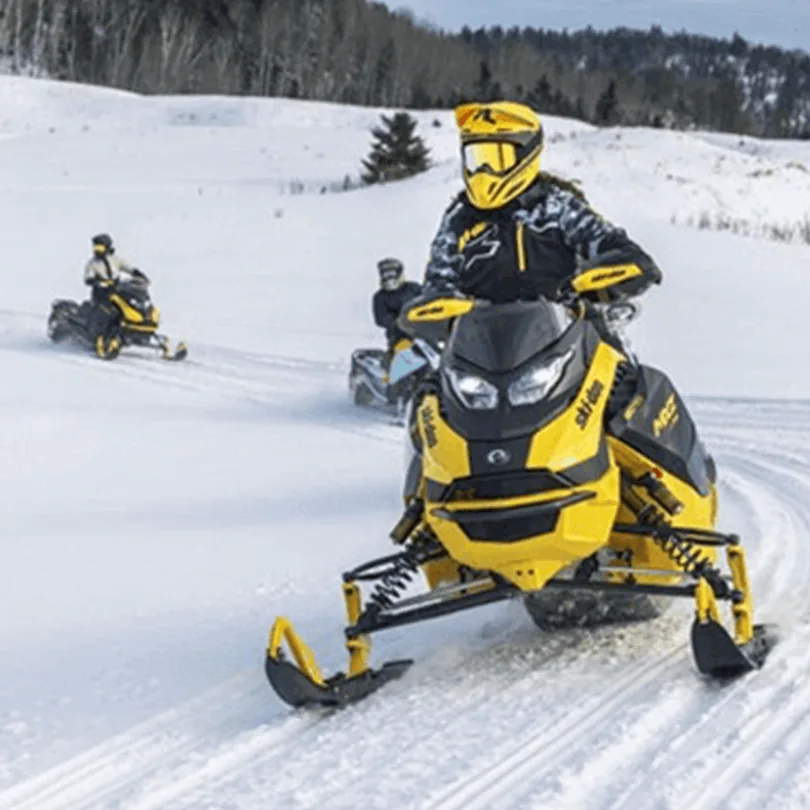 Motoslitte Ski Doo