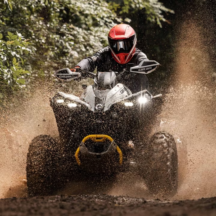 Renegade